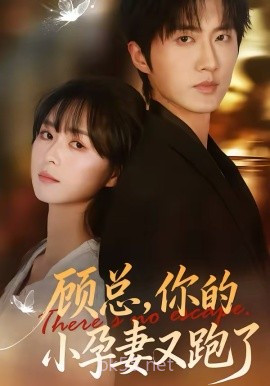 顾总,你的小孕妻又跑了