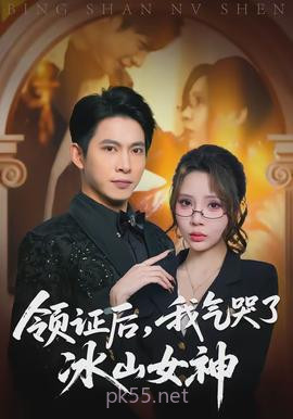 领证后,我气哭了冰山女神