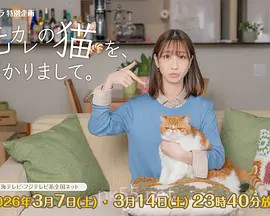 我收留了前男友的猫